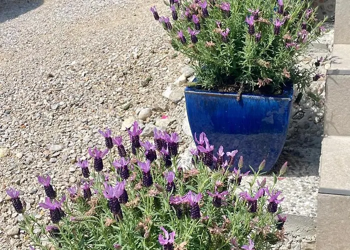 Séjour chez l'habitant Ana Bled